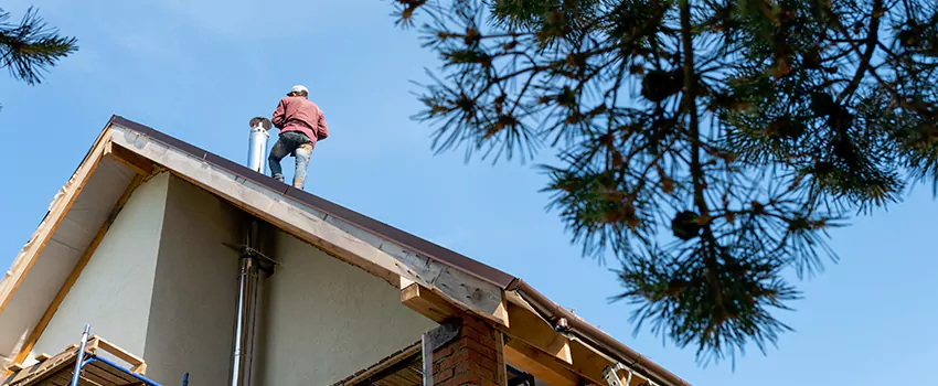 Birds Removal Contractors from Chimney in Artesia, CA